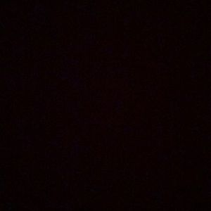 Meet your Posher, Gabby